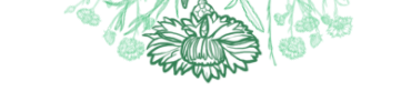 plantes